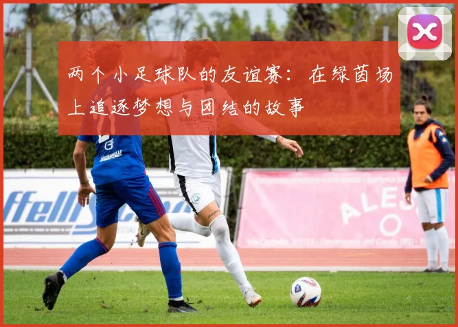 两个小足球队的友谊赛：在绿茵场上追逐梦想与团结的故事