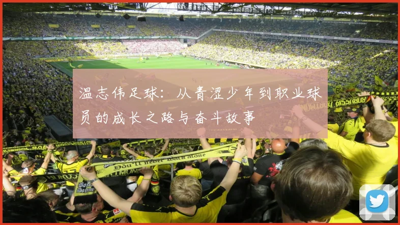 温志伟足球：从青涩少年到职业球员的成长之路与奋斗故事