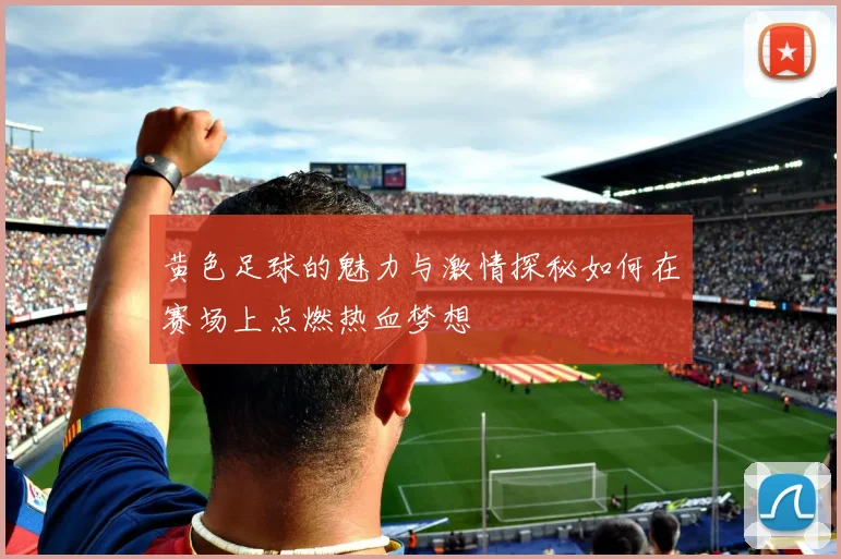黄色足球的魅力与激情探秘如何在赛场上点燃热血梦想