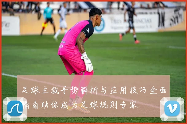 足球主裁手势解析与应用技巧全面指南助你成为足球规则专家