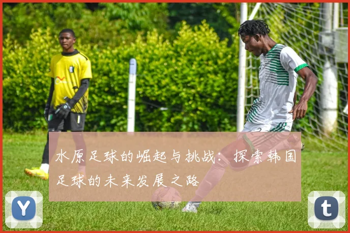 水原足球的崛起与挑战：探索韩国足球的未来发展之路