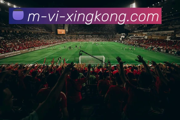 星空下载APP 高清赛事图